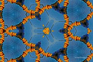 The Kaleidoscope Of Life 0057