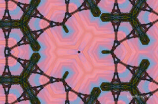 The Kaleidoscope Of Life 0059