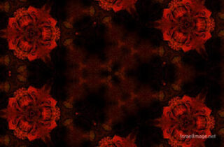 The Kaleidoscope Of Life 0061