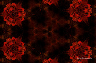 The Kaleidoscope Of Life 0061