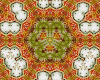 The Kaleidoscope Of Life 0064