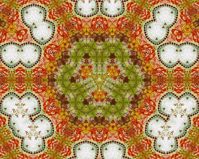 The Kaleidoscope Of Life 0064