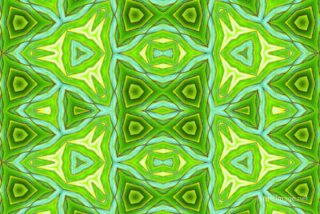 the kaleidoscope of life The Kaleidoscope Of Life 0065