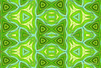 The Kaleidoscope Of Life 0065