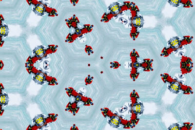 The Kaleidoscope Of Life 0068