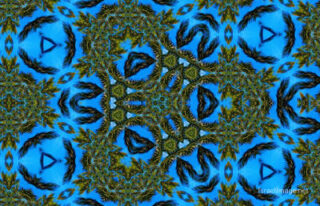 the kaleidoscope of life The Kaleidoscope Of Life 0069
