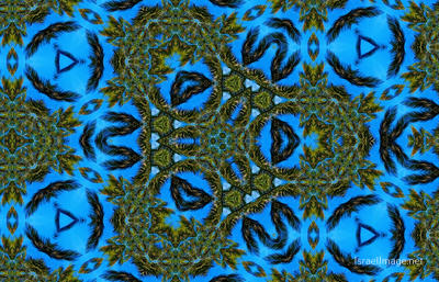 The Kaleidoscope Of Life 0069