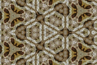 The Kaleidoscope Of Life 0072