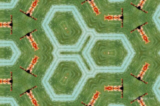 the kaleidoscope of life The Kaleidoscope Of Life 0076