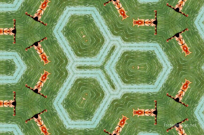 The Kaleidoscope Of Life 0076