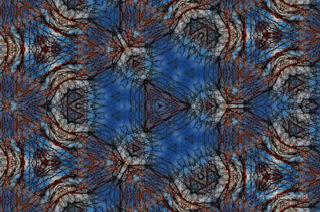 the kaleidoscope of life The Kaleidoscope Of Life 0079