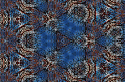 The Kaleidoscope Of Life 0079
