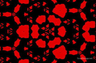 the kaleidoscope of life The Kaleidoscope Of Life 0082
