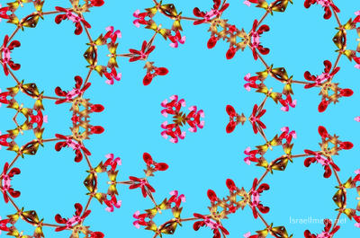 The Kaleidoscope Of Life 0085