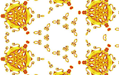 The Kaleidoscope Of Life 0087
