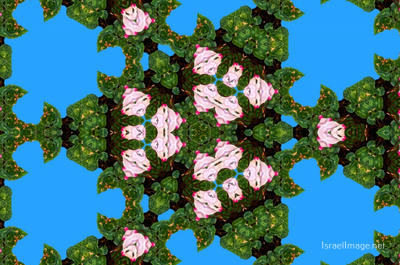 The Kaleidoscope Of Life 0092