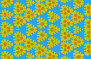 the kaleidoscope of life The Kaleidoscope Of Life 0093