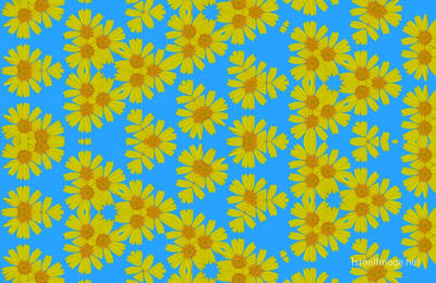 The Kaleidoscope Of Life 0093