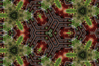 the kaleidoscope of life The Kaleidoscope Of Life 0095