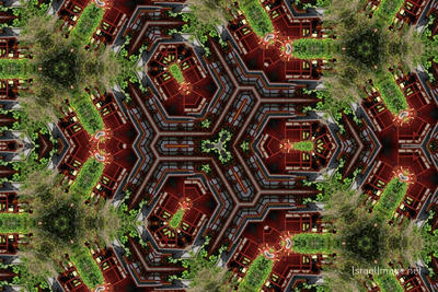 The Kaleidoscope Of Life 0095