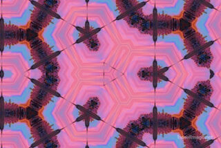the kaleidoscope of life The Kaleidoscope Of Life 0096