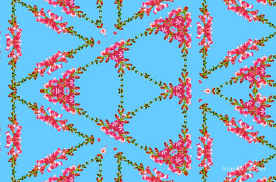 The Kaleidoscope Of Life 0097