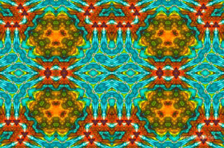 The Kaleidoscope Of Life 0100