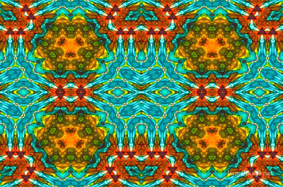 The Kaleidoscope Of Life 0100