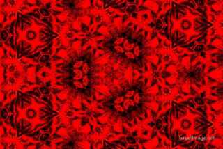 The Kaleidoscope Of Life 0101