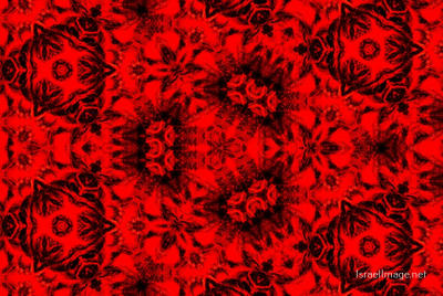 The Kaleidoscope Of Life 0101