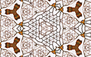 The Kaleidoscope Of Life 0105