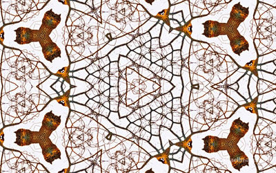 The Kaleidoscope Of Life 0105