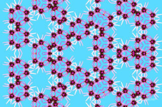 The Kaleidoscope Of Life 0106