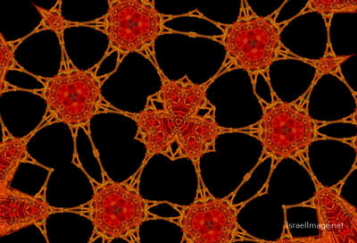 The Kaleidoscope Of Life 0107