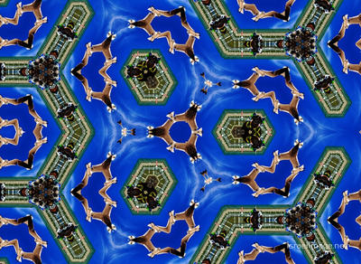 The Kaleidoscope Of Life 0110