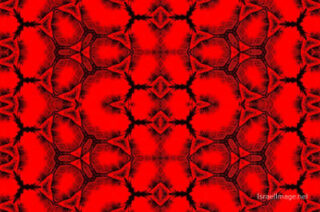 The Kaleidoscope Of Life 0111