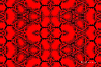 The Kaleidoscope Of Life 0111