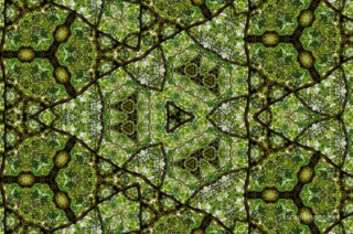 the kaleidoscope of life The Kaleidoscope Of Life 0114