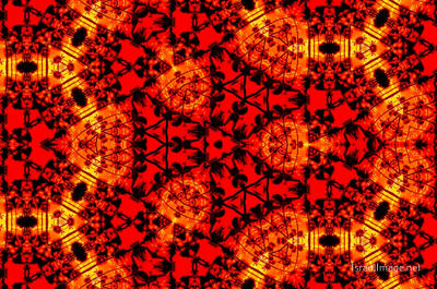 The Kaleidoscope Of Life 0116