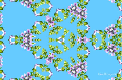 The Kaleidoscope Of Life 0122