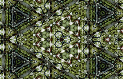The Kaleidoscope Of Life 0125