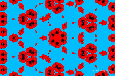 The Kaleidoscope Of Life 0127