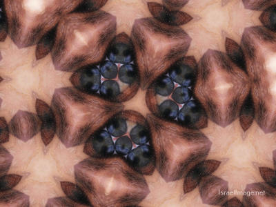 The Kaleidoscope Of Life 0128