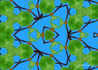 The Kaleidoscope Of Life 0129
