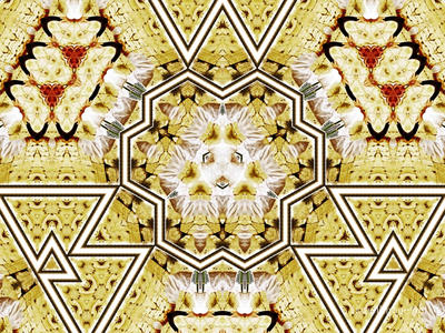 The Kaleidoscope Of Life 0130