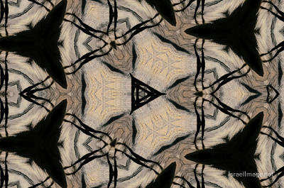The Kaleidoscope Of Life 0137
