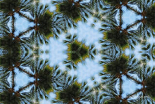 the kaleidoscope of life The Kaleidoscope Of Life 0139