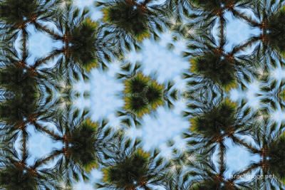 The Kaleidoscope Of Life 0139
