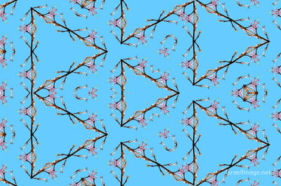 The Kaleidoscope Of Life 0143