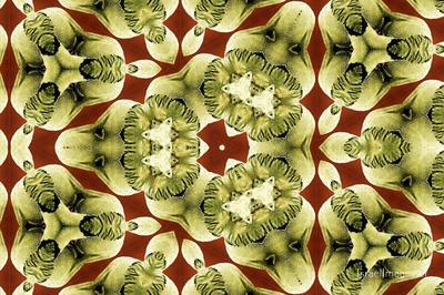 The Kaleidoscope Of Life 0147